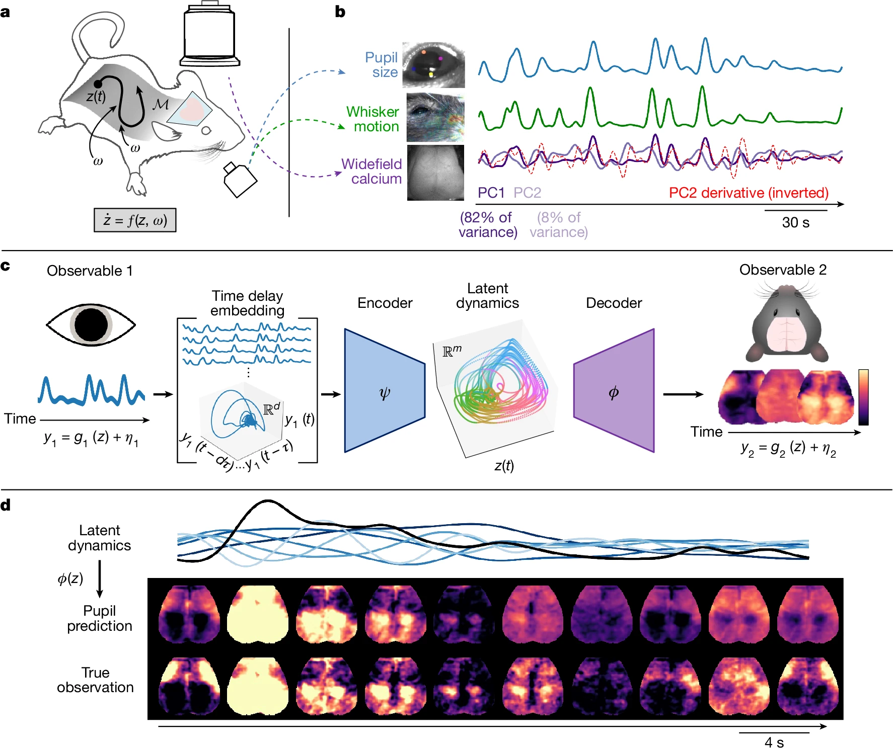 Arousal as a universal embedding for spatiotemporal brain dynamics
