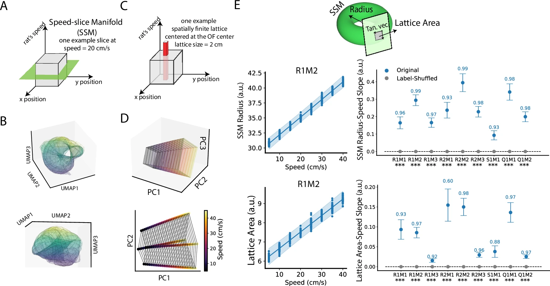 Speed modulation of grid coding