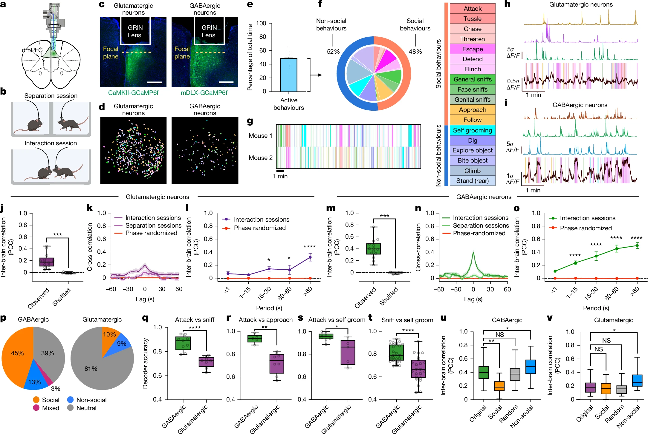 Inter-brain neural dynamics