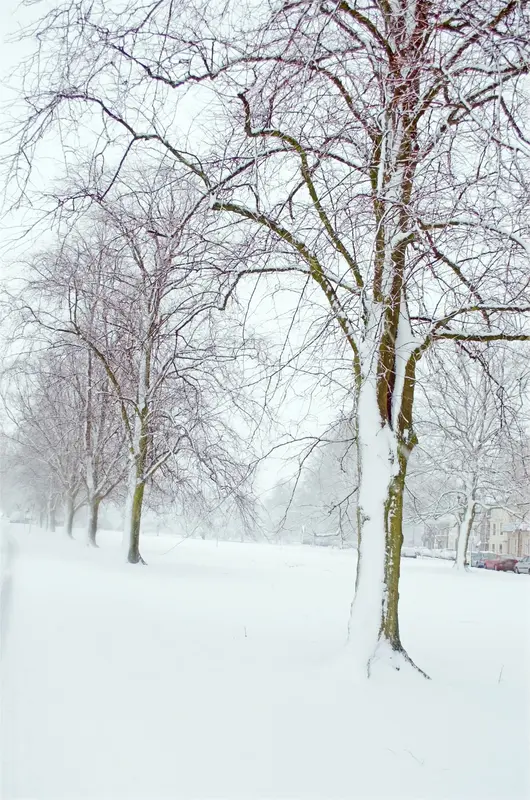 This Month's Highlights 