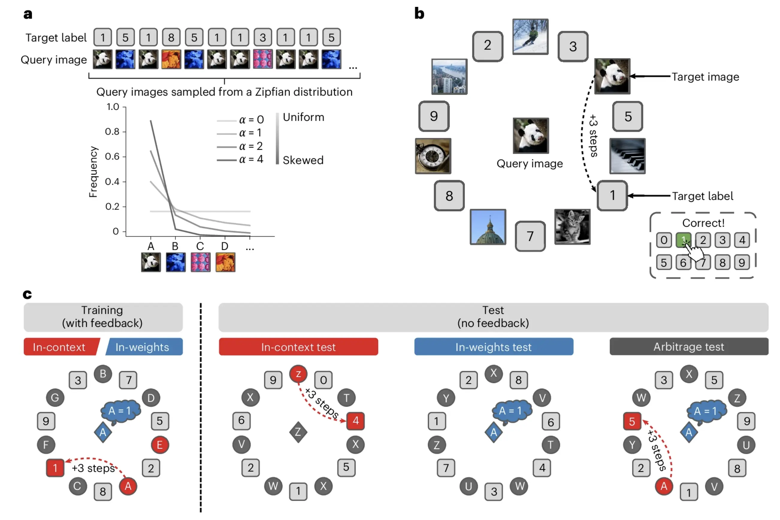 Shared sensitivity to data distribution during learning in humans and transformer networks