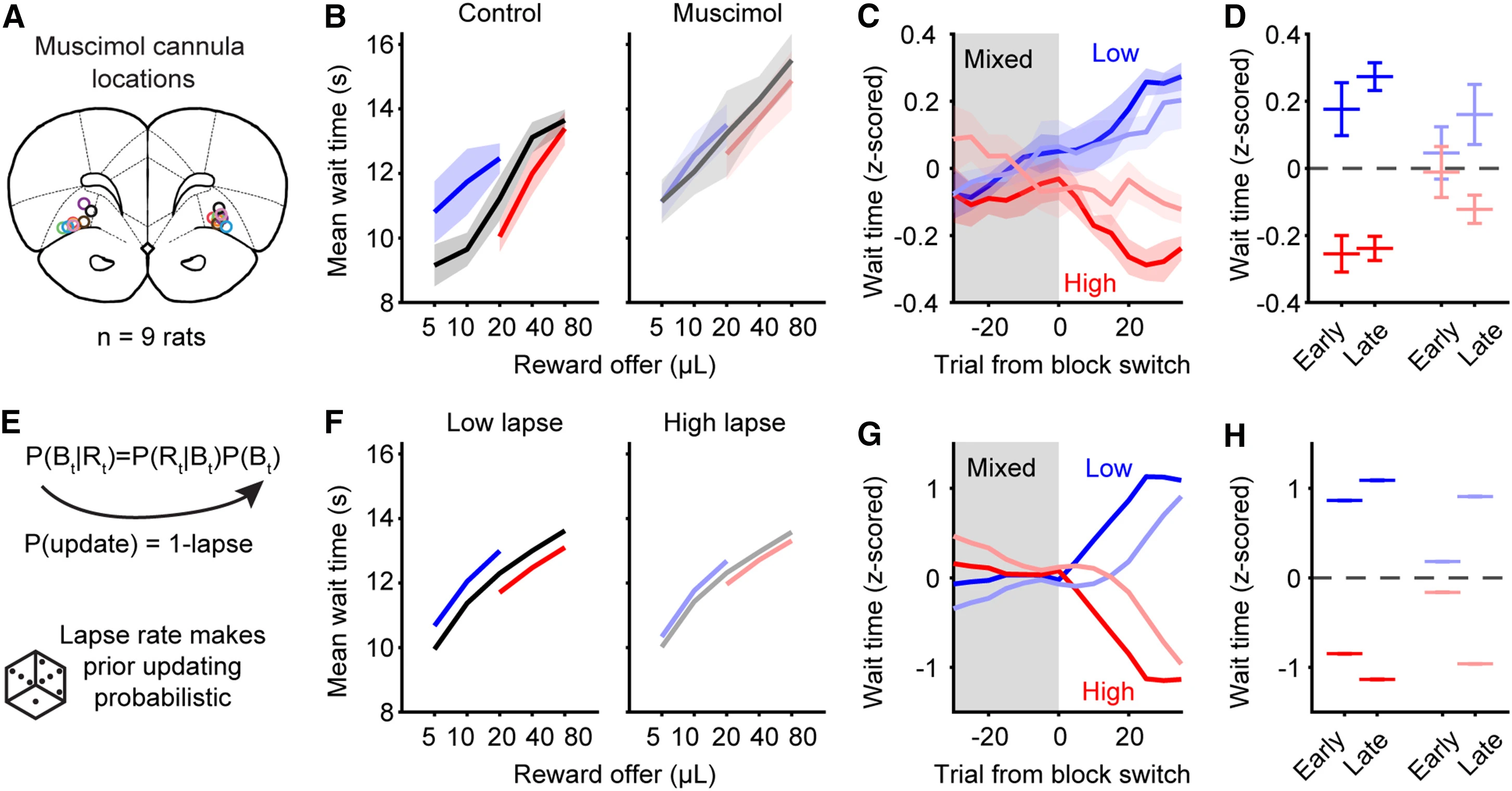 The orbitofrontal cortex updates beliefs for state inference