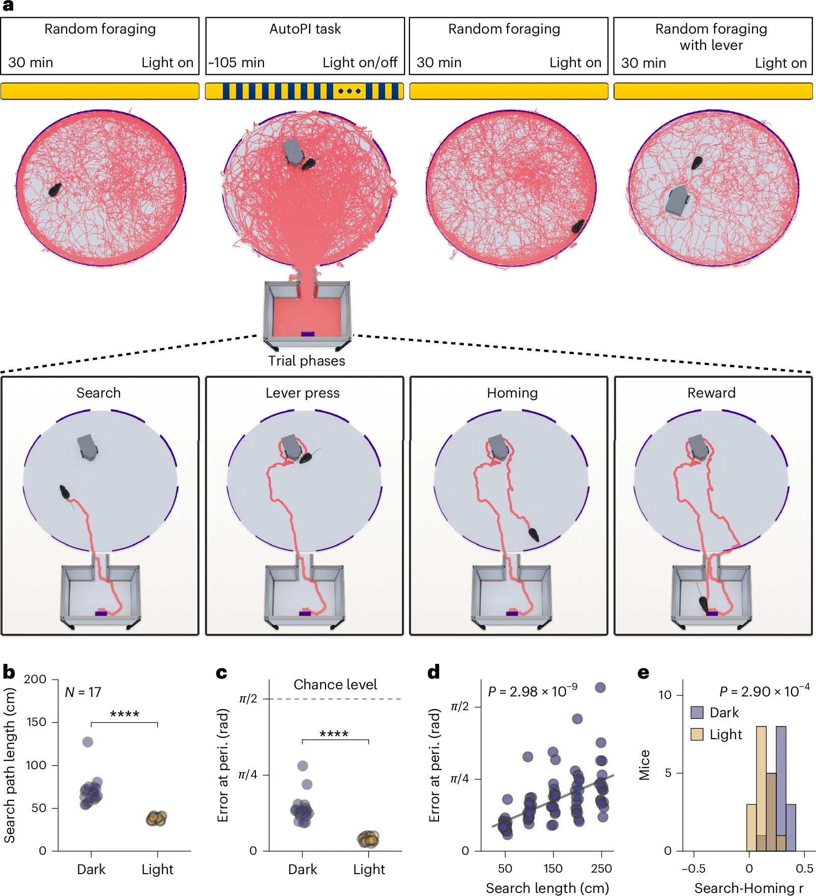 Grid cells accurately track movement during path integration-based navigation despite switching reference frames