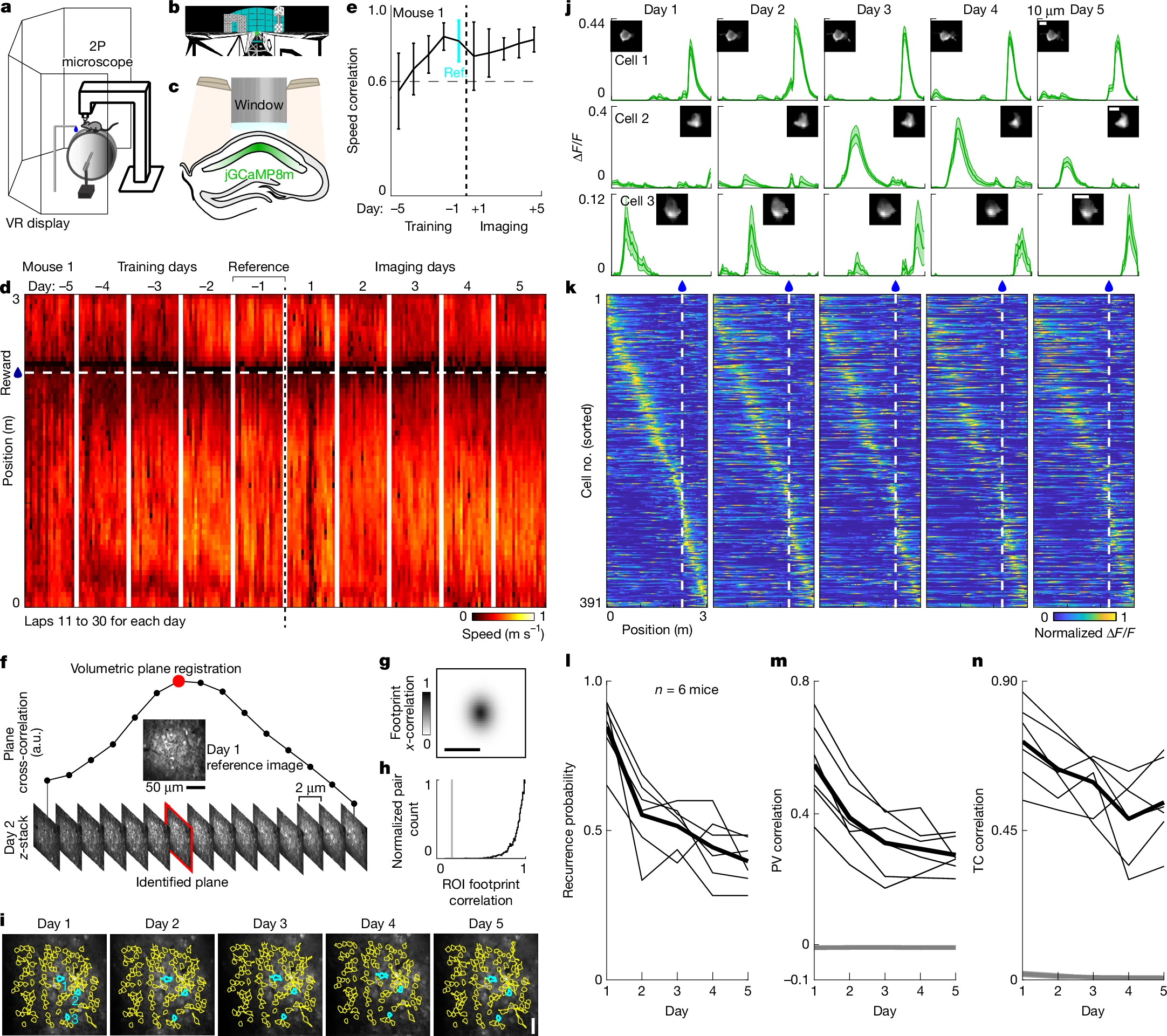 Hippocampal representations drift in stable multisensory environments