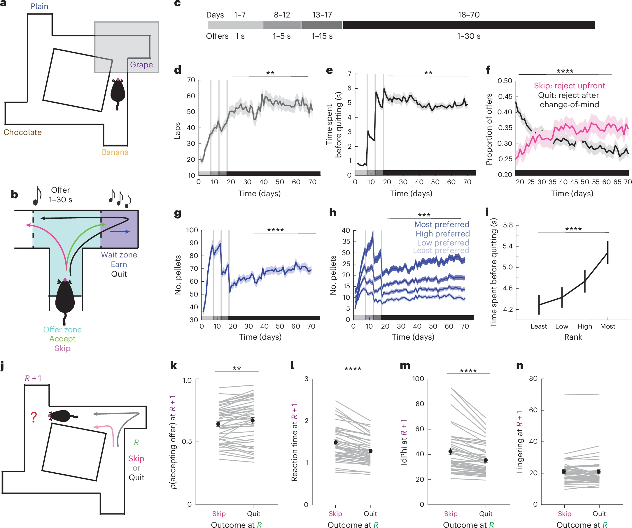 Individual differences in decision-making shape how mesolimbic dopamine regulates choice confidence and change-of-mind