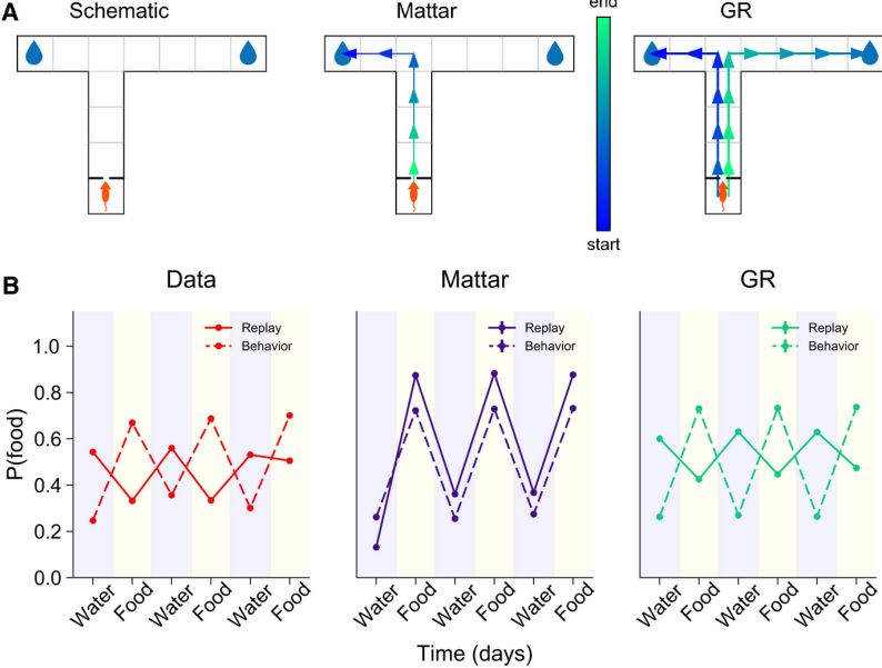 Between planning and map building